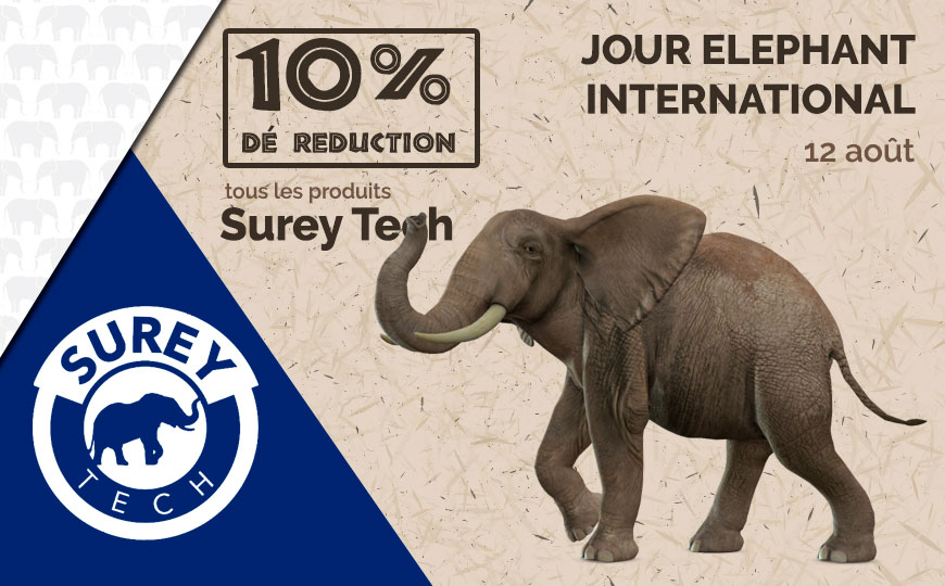 Surey Tech célèbre l'éléphant international de jour