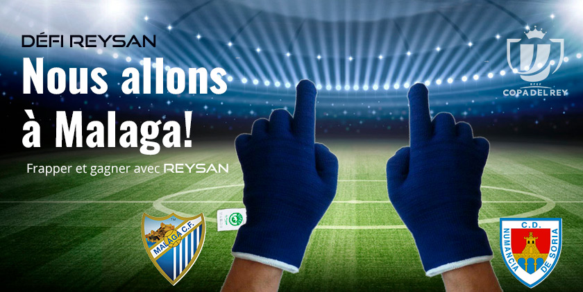 Nous allons à Malaga!