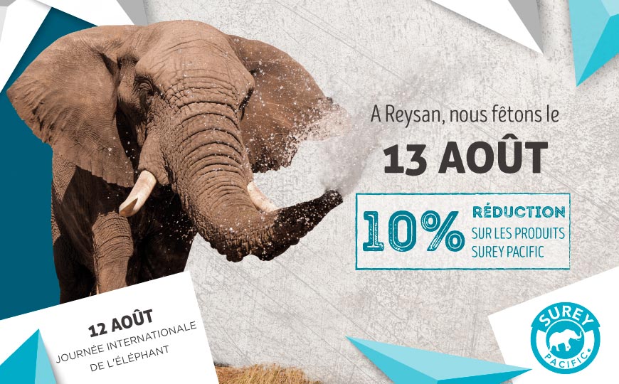 Promotion de la Journée internationale de l'éléphant.