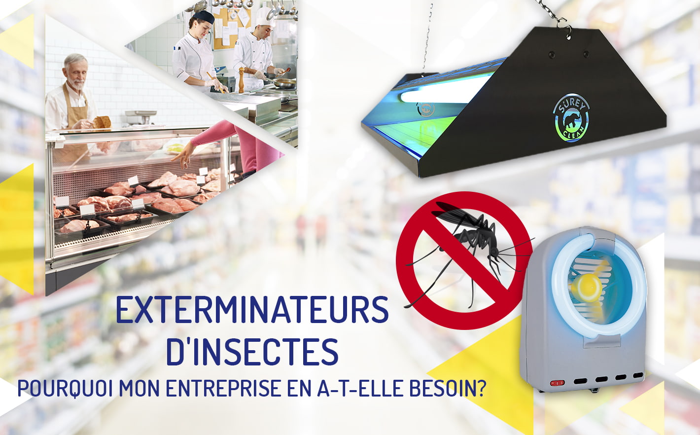 Exterminateurs d'insectes