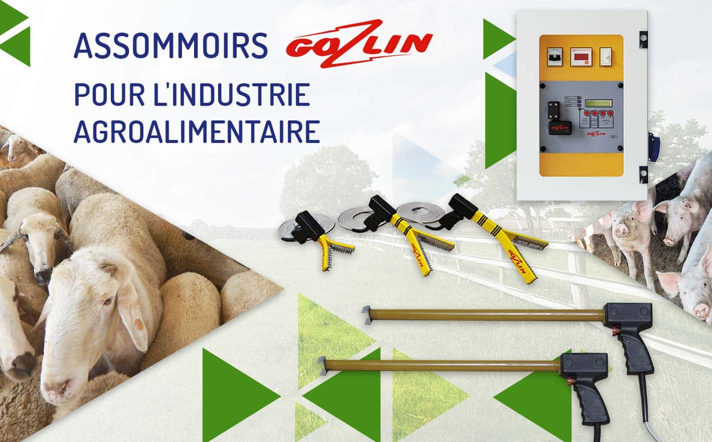 Découvrez nos étourdisseurs Gozlin