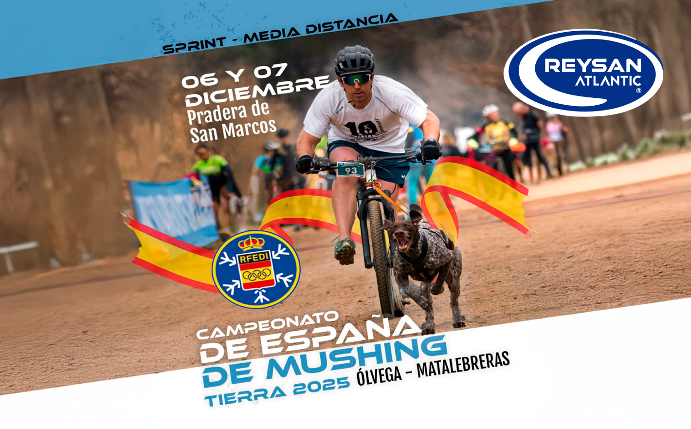 Reysan Atlantic se joint au grand spectacle de Mushing en Espagne