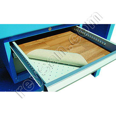 FOND PROTECTION POUR 4838