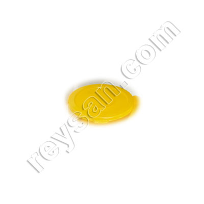 COUVERCLE POUBELLE BRUTE 75,7L