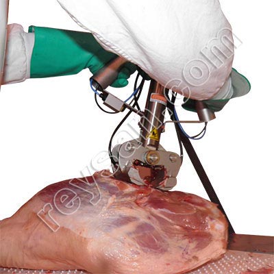 CISAILLEMENT COUPER BONE PONT