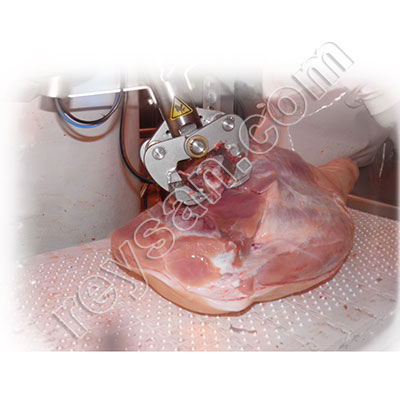 CISAILLEMENT COUPER BONE PONT