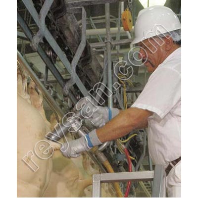 PISTOLET JARVIS HBD1