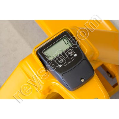 PESAGE TRANSFERT KERN VHE