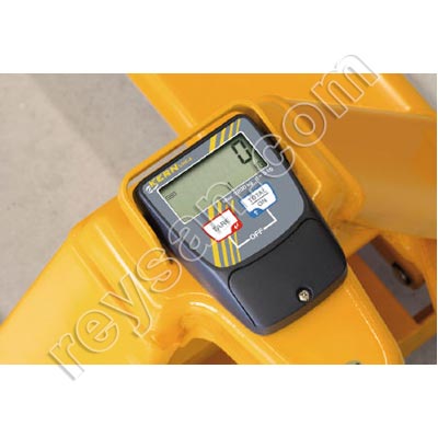 PESAGE TRANSFERT KERN VHE