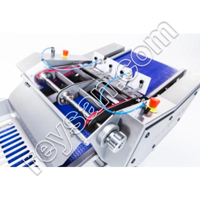 DÉPELADEUSE DE POISSON AUTOMATIQUE 460