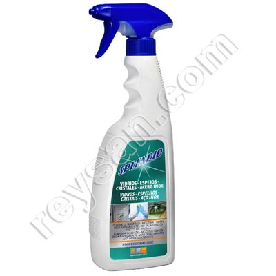 NETTOYANT PROFESSIONNEL POUR VITRES