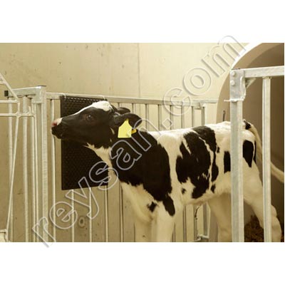 TAPIS RACLEUR POUR ANIMAUX