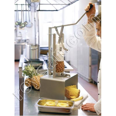 DÉCORAZONNEUR ET DÉCORAZONNEUR MANUEL DES ANANAS