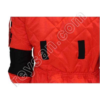 PLONGEUR GUÊPE ASIATIQUE VELUTINA-ASIATIQUE 