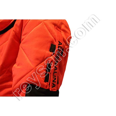 PLONGEUR GUÊPE ASIATIQUE VELUTINA-ASIATIQUE 