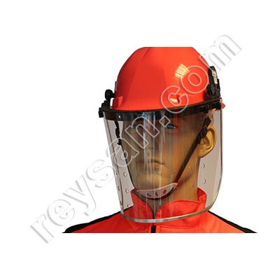 PLONGEUR GUÊPE ASIATIQUE VELUTINA-ASIATIQUE 