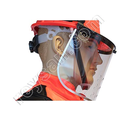 PLONGEUR GUÊPE ASIATIQUE VELUTINA-ASIATIQUE 