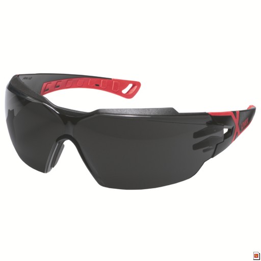 LUNETTES DE PROTECTION UVEX PHEOS CX2 INFRAROUGE IR 5